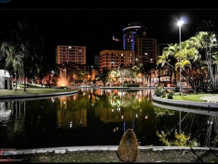 Apartamento Aconchegante Centro Águas de Lindóia Appartamento Esterno foto